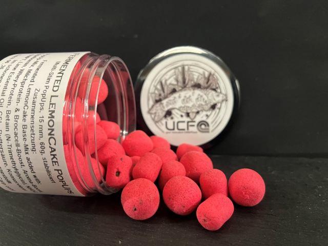 Fermented LemonCake Pop-ups, 60 gr Dose